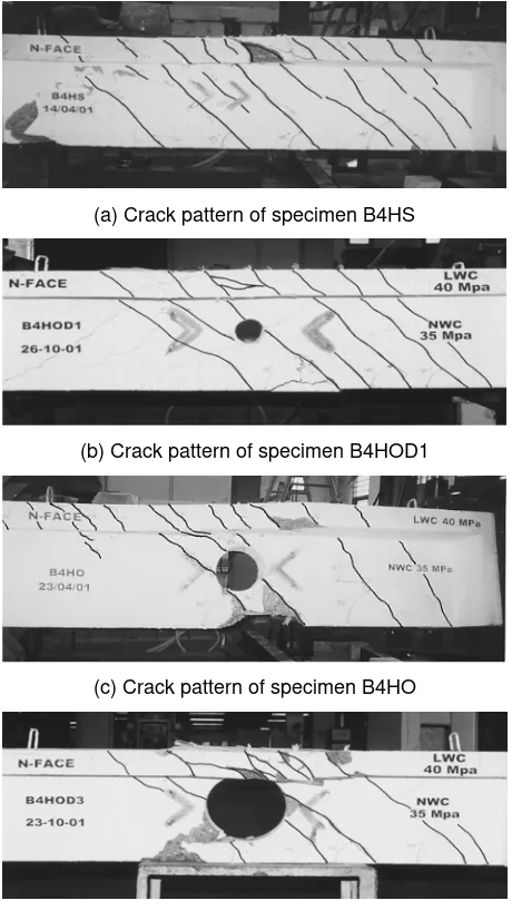 Figure 4. The crack pattern of the tested specimens 