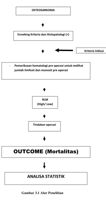Gambar 3.1 Alur Penelitian 