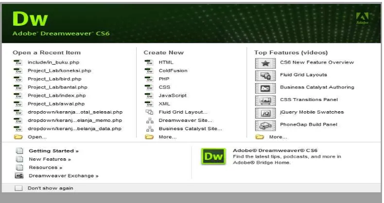 Gambar 2.1. Halaman Awal dari Dreamweaver CS6 