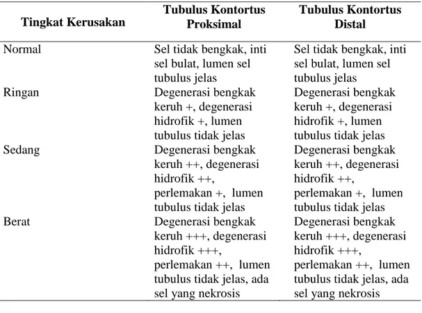 Tabel 5. Tingkat kerusakan tubulus ginjal ( Mitchel dalam Gufron, 2001 ) 
