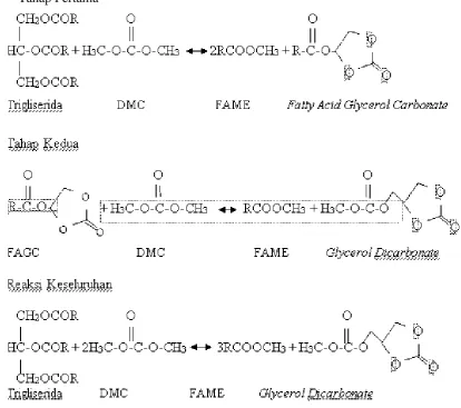Gambar 2.2 Skema Reaksi Transesterfikasi Trigliserida dengan Dimetil Karbonat 