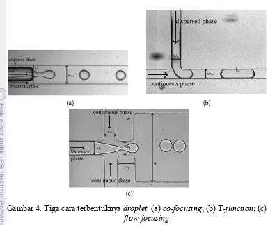 Gambar 4. Tiga cara terbentuknya droplet. (a) co-focusing; (b) T-junction; (c) 