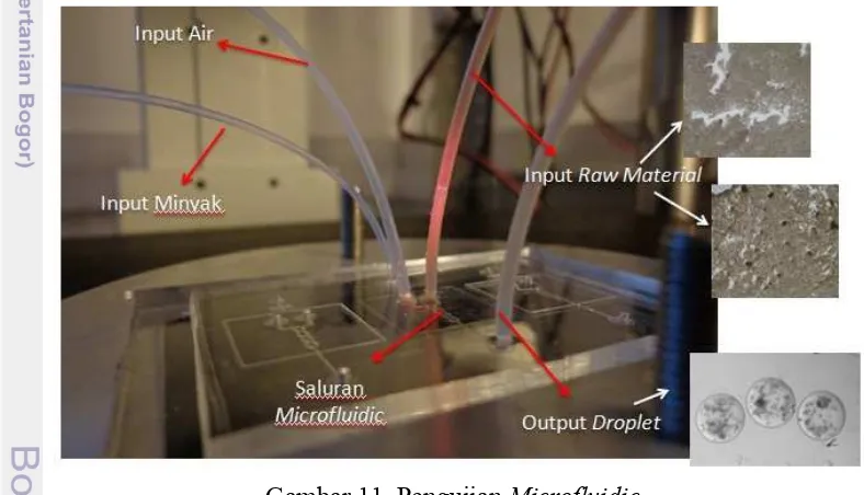 Gambar 11. Pengujian Microfluidic 