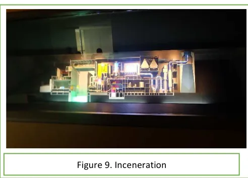 Figure 9. Inceneration 