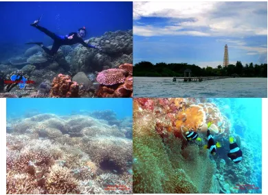 Gambar 1. 1 : Keindahan Panorama Bawah Laut Pulau Biawak 