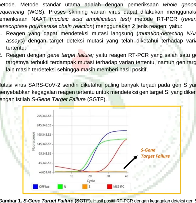 Gambar 1. S-Gene Target Failure (SGTF).  Hasil positif RT-PCR dengan kegagalan deteksi gen S.