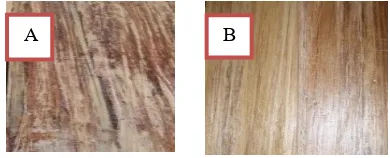 Gambar 1. Keragaan permukaan papan zephyr tanpa finishing (A) dan setelah diberi lapisan finishing (B) 