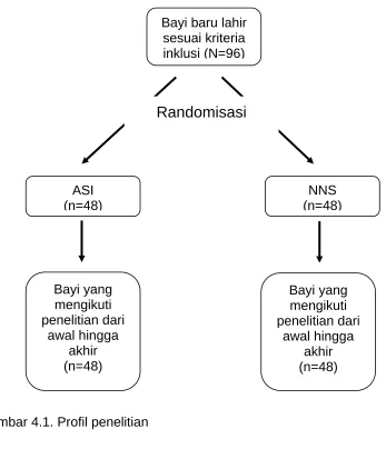 Gambar 4.1. Profil penelitian 
