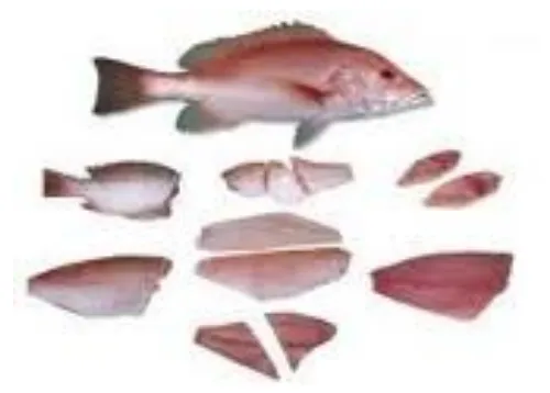 Gambar Contoh Potongan Ikan