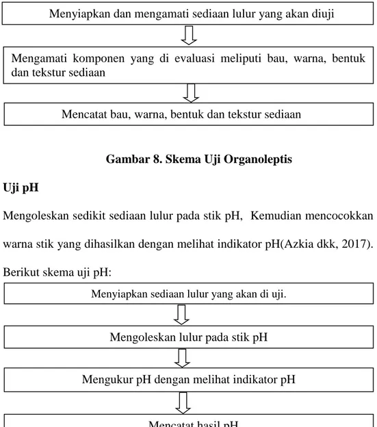 Gambar 8. Skema Uji Organoleptis  2.  Uji pH  