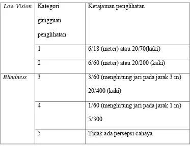 Tabel 2.1 Kategori gangguan penglihatan diadaptasi dari WHO 
