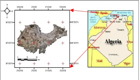 Figure 1. The Study Area of Algiers City in Northern Algeria. 