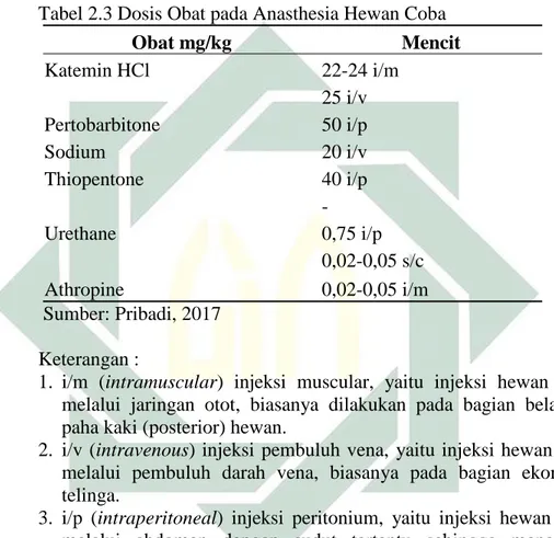 Tabel 2.3 Dosis Obat pada Anasthesia Hewan Coba 