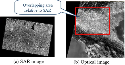 Figure 6 A pair of very large SAR and Optical images 