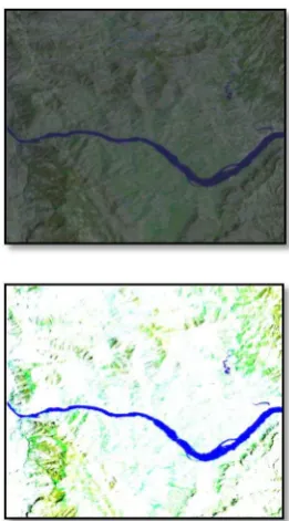 Figure 1. Remote image of different intensity (clear surface, too