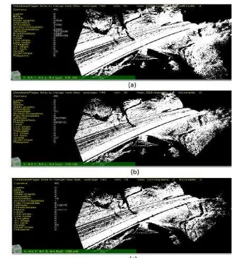 Figure 4. Mesh filtering to reduce invalid points - urban areas.  Where, (a)The original 1.95 million points