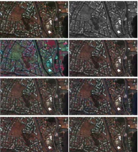 Figure 9. Example images to test the feasibility of the VQAP; 