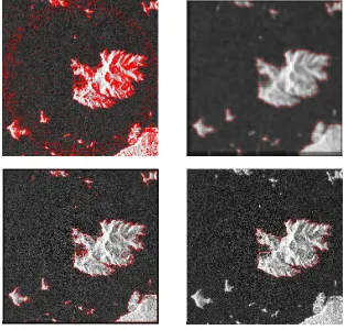 Figure 2.  The coastline segmentation results of SAR image: (a) ordinary C-V model result, (b) low scale image sequence result, (c) exponential multi-scale C-V model result, (d) automated coastline segmentation result 