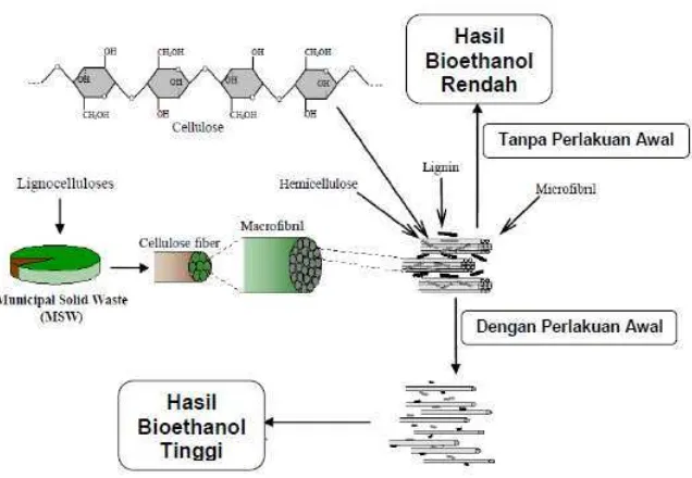 Gambar 2.  Skematik makro dan mikrofiblil dalam serat selulosa bahan lignoselulosa dan pengaruh perlakuan awal terhadap hasil bioethanol   Sumber  :  Taherzadeh and Karimi, 2007 