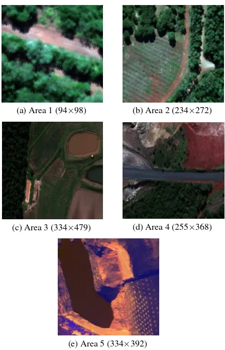 Figure 3. RGB images and dimensions of ﬁve different areas.