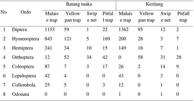 Tabel  4.2  Jenis-jenis  ordo  serangga  dan  jumlah  individunya  yang  terperangkap  pada  lahan  pertanaman padi saat masa sebelum tanam di Kabupaten Indragiri Hilir, Riau 