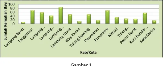 Gambar 1.  Data Kematian Bayi di Provinsi Lampung 2016  