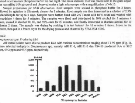 Fig. 1: Capability of endophytic Streptomyces spp. in producing IAA when grown for l 0 days in ISP no 2 