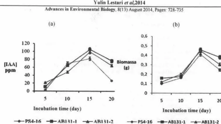 Fig. 2: Relationship between (a) IAA production and (b) biomass production by endophytic Streptomyces spp