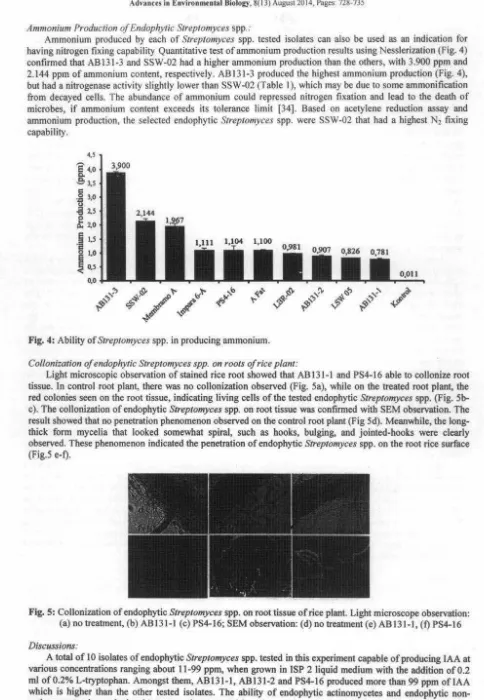 Fig. 4: Ability of Streptomyces spp. in producing ammonium. 