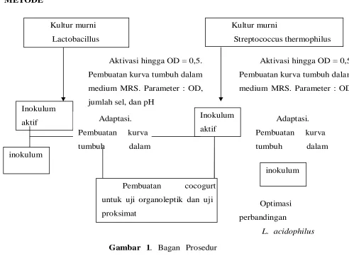 Gambar 1. Bagan Prosedur 