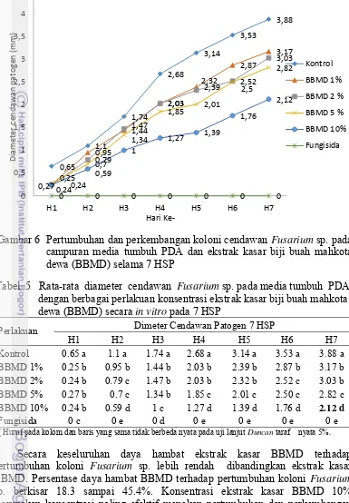 Gambar 6  Pertumbuhan dan perkembangan koloni cendawan Fusarium sp. pada 