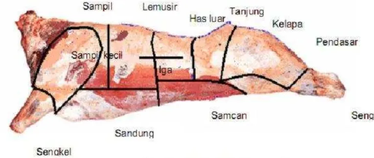 Gambar 1.  Peta Lokasi Karkas Kambing dan Sapi 