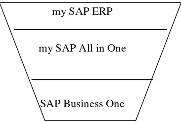 Gambar 1. Tingkatan SAP (Sumber : SAP Overview) 