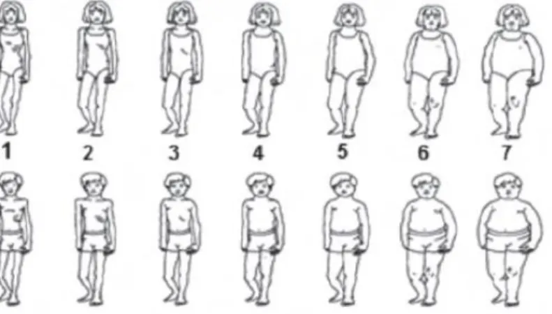 Gambar 2.1 Body Image Silhouette Chart 