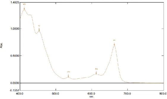 Gambar 4.2 Spektrum Ultraviolet Visible (UV-Vis) Ekstrak Aseton 