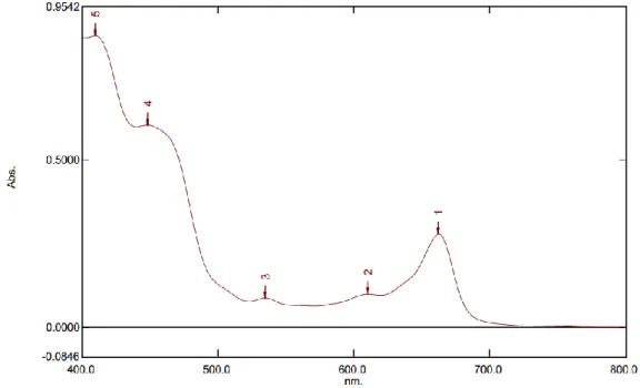 Gambar 4.3 Spektrum Ultraviolet Visible (UV-Vis) Ekstrak metanol 