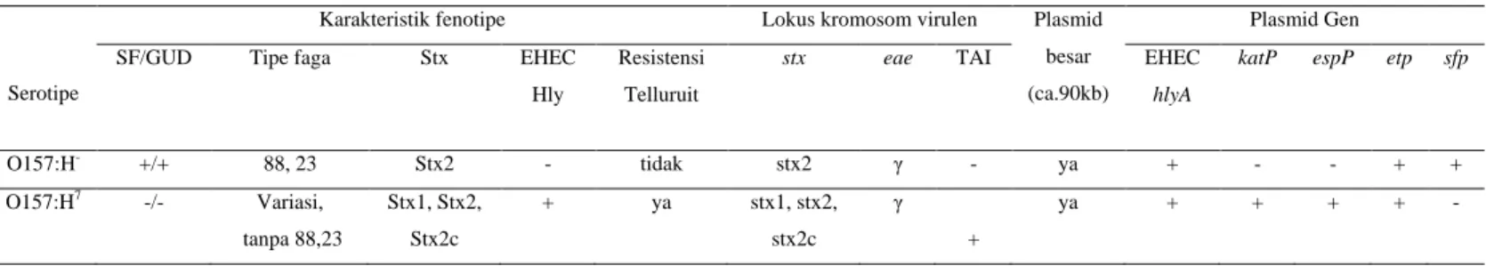 Tabel 1. Karakter Fenotipe dan Virulensi SF STEC O157:H −  dan STEC O157:H7. 3,6