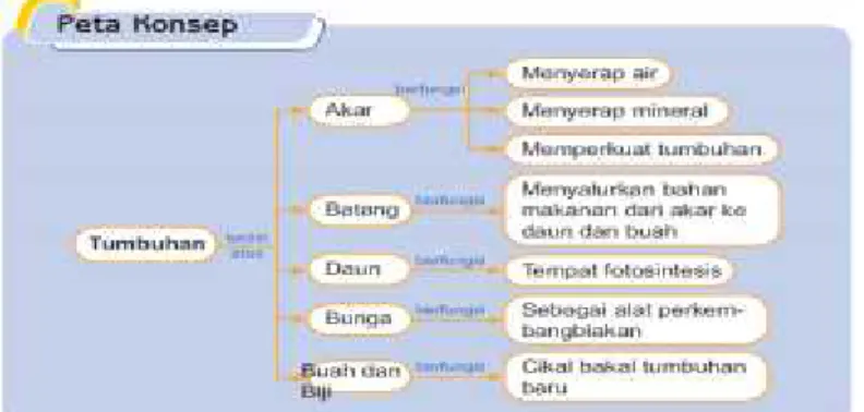 Gambar 2.1 Peta Konsep Pohon Jaringan Tumbuhan