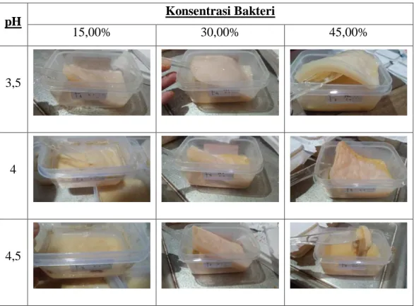 Gambar 7. Produk Hasil Fermentasi Kulit Nanas dengan Variasi pH  dan Konsentrasi Bakteri 