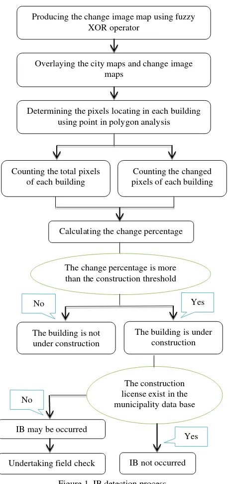 Figure 1. IB detection process 