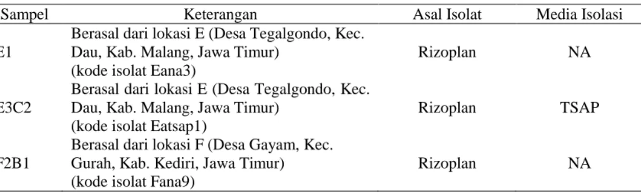 Tabel 1. Tiga isolat rizobakteri terpilih dan memiliki kemampuan untuk menghambat P. capsici 