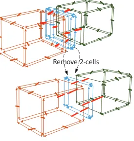 Figure 11. Remove 2-cells to merge adjacent 3-cells