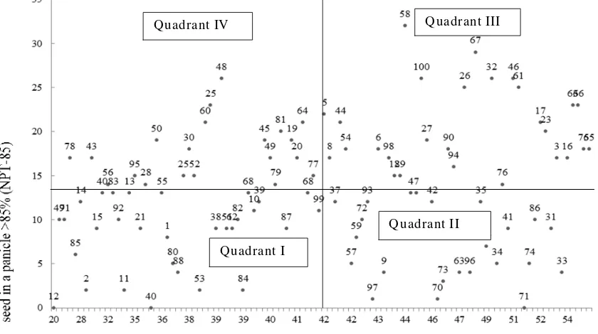 Fig 3: Number of productive tiller per clump (NPT)   Example of the quadrant method to determine selected plants