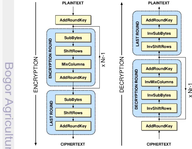 Gambar 4 Proses enkripsi dan dekripsi algoritme AES (http:// 
