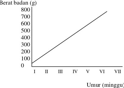 Gambar 1. Kurva pertumbuhan ayam jantan tipe medium (berdasarkan hasil penelitian Anggraini, 2011) 