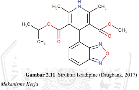 Gambar 2.11  Struktur Isradipine (Drugbank, 2017)  Mekanisme Kerja 