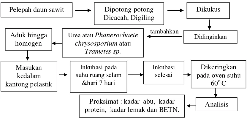 Gambar 6. Bagan zat makanan dalam pakan menurut Metode Proksimat 
