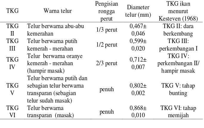 Tabel 13. Persentase tingkat kematangan gonad ikan betok.