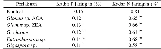 Tabel 6  Persentas e kolonisasi CMA pada akar  A. microcarpa 