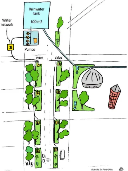 Figure 11. Garibaldi Street, overview of planted strips and irrigation device.  